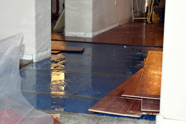 Professional Water Damage Restoration technician working in Jackson, AL